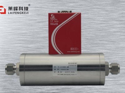 超大量程氣體質(zhì)量流量計(jì)LF-A031圖片4
