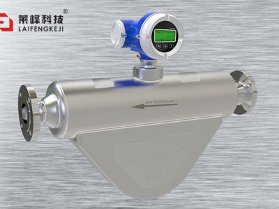 科里奧利質量流量計LF-CP 高壓型圖片1