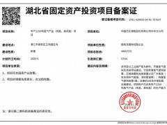 總投資4800萬！年產2250噸氫氣產品項目備案